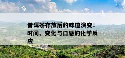 普洱茶存放后的味道演变：时间、变化与口感的化学反应