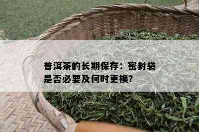 普洱茶的长期保存：密封袋是否必要及何时更换？