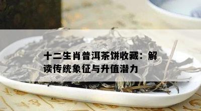 十二生肖普洱茶饼收藏：解读传统象征与升值潜力