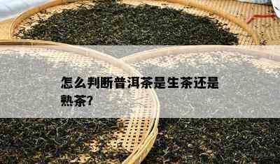 怎么判断普洱茶是生茶还是熟茶？