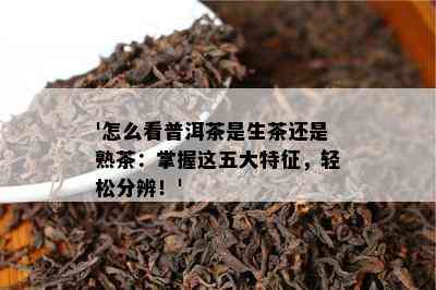 '怎么看普洱茶是生茶还是熟茶：掌握这五大特征，轻松分辨！'