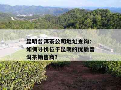 昆明普洱茶公司地址查询：如何寻找位于昆明的优质普洱茶销售商？