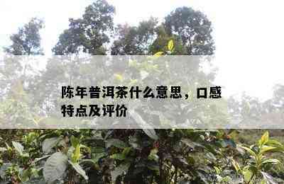 陈年普洱茶什么意思，口感特点及评价