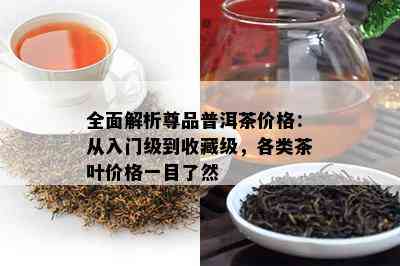 全面解析尊品普洱茶价格：从入门级到收藏级，各类茶叶价格一目了然