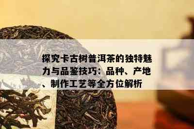 探究卡古树普洱茶的独特魅力与品鉴技巧：品种、产地、制作工艺等全方位解析