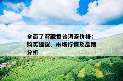 全面了解藏香普洱茶价格：购买建议、市场行情及品质分析