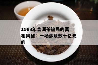 1988年普洱茶骗局的真相揭秘：一场涉及数十亿元的