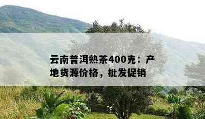 云南普洱熟茶400克：产地货源价格，批发促销