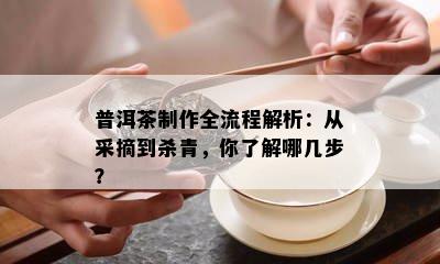 普洱茶制作全流程解析：从采摘到杀青，你了解哪几步？