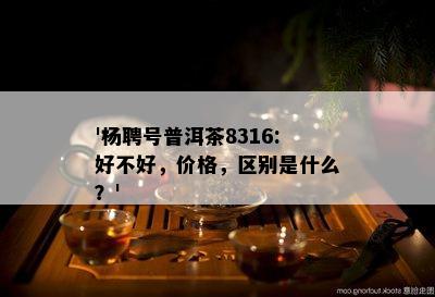 '杨聘号普洱茶8316:好不好，价格，区别是什么？'