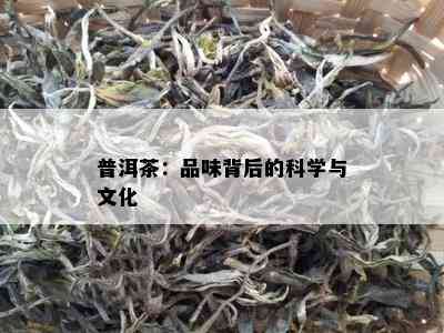 普洱茶：品味背后的科学与文化