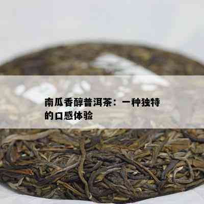 南瓜香醇普洱茶：一种独特的口感体验