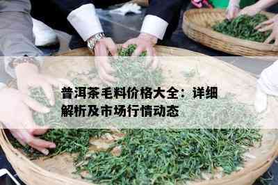 普洱茶毛料价格大全：详细解析及市场行情动态