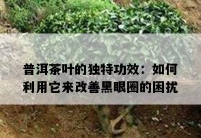 普洱茶叶的独特功效：如何利用它来改善黑眼圈的困扰