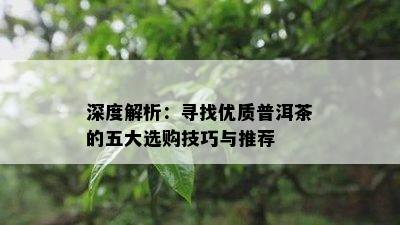 深度解析：寻找优质普洱茶的五大选购技巧与推荐