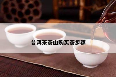 普洱茶茶山购买茶步骤