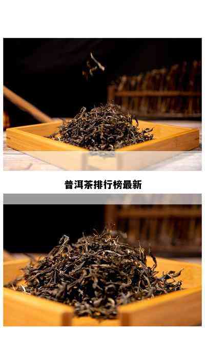 普洱茶排行榜最新