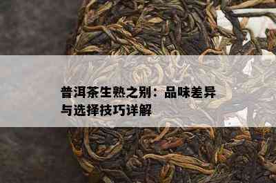 普洱茶生熟之别：品味差异与选择技巧详解