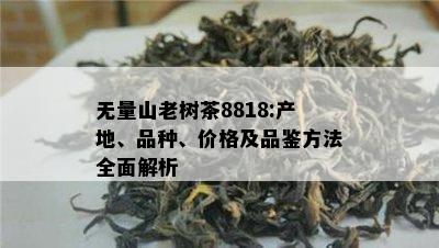 无量山老树茶8818:产地、品种、价格及品鉴方法全面解析