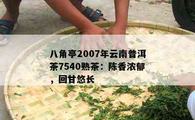 八角亭2007年云南普洱茶7540熟茶：陈香浓郁，回甘悠长