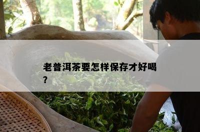 老普洱茶要怎样保存才好喝？