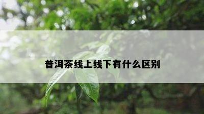 普洱茶线上线下有什么区别