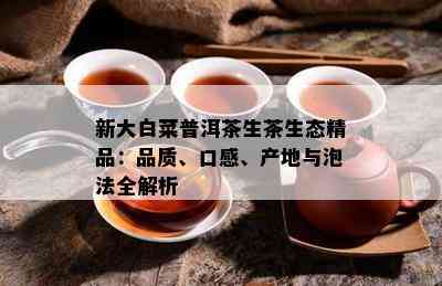 新大白菜普洱茶生茶生态精品：品质、口感、产地与泡法全解析