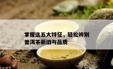 掌握这五大特征，轻松辨别普洱茶新旧与品质