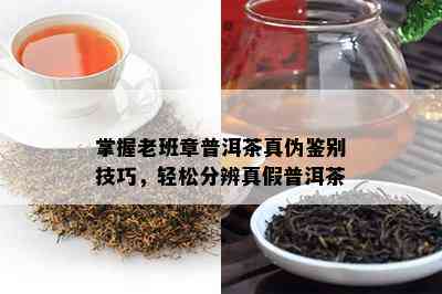 掌握老班章普洱茶真伪鉴别技巧，轻松分辨真假普洱茶