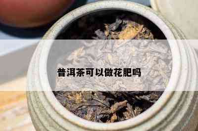 普洱茶可以做花肥吗