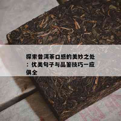 探索普洱茶口感的美妙之处：优美句子与品鉴技巧一应俱全