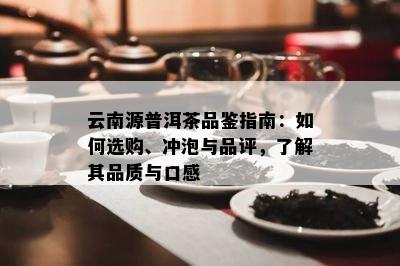 云南源普洱茶品鉴指南：如何选购、冲泡与品评，了解其品质与口感