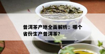 普洱茶产地全面解析：哪个省份生产普洱茶？