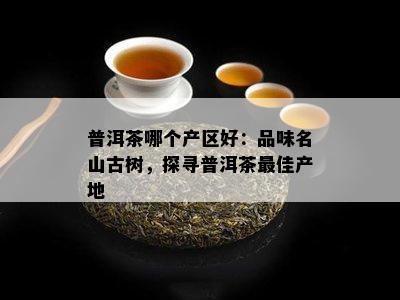 普洱茶哪个产区好：品味名山古树，探寻普洱茶更佳产地