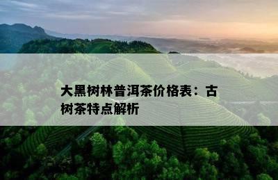 大黑树林普洱茶价格表：古树茶特点解析