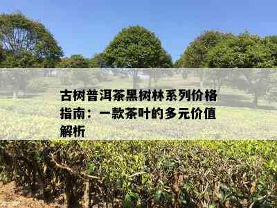 古树普洱茶黑树林系列价格指南：一款茶叶的多元价值解析