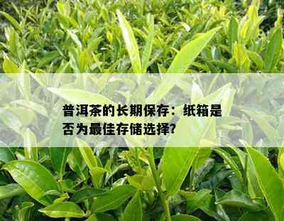 普洱茶的长期保存：纸箱是否为更佳存储选择？