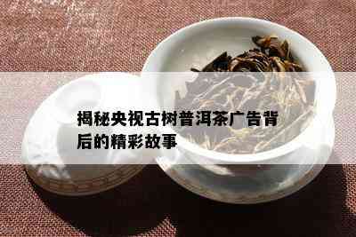 揭秘央视古树普洱茶广告背后的精彩故事