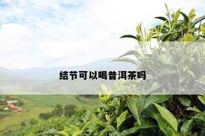 结节可以喝普洱茶吗