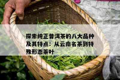 探索纯正普洱茶的八大品种及其特点：从云南名茶到特殊形态茶叶