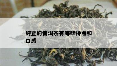 纯正的普洱茶有哪些特点和口感