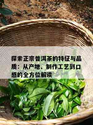 探索正宗普洱茶的特征与品质：从产地、制作工艺到口感的全方位解读