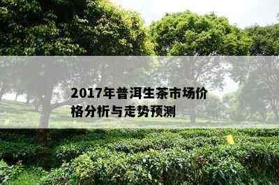 2017年普洱生茶市场价格分析与走势预测