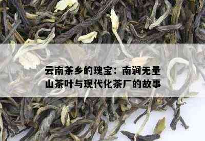 云南茶乡的瑰宝：南涧无量山茶叶与现代化茶厂的故事