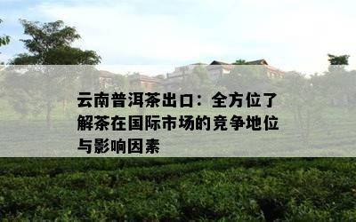 云南普洱茶出口：全方位了解茶在国际市场的竞争地位与影响因素