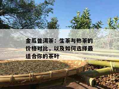 金瓜普洱茶：生茶与熟茶的价格对比，以及如何选择最适合你的茶叶