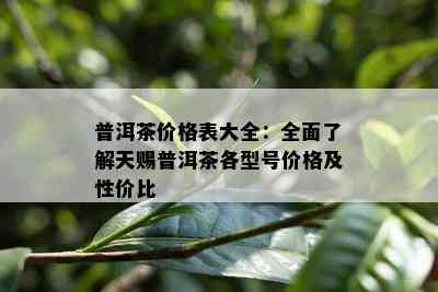 普洱茶价格表大全：全面了解天赐普洱茶各型号价格及性价比