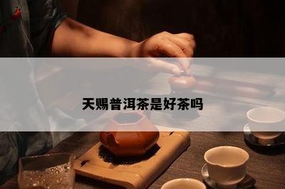 天赐普洱茶是好茶吗