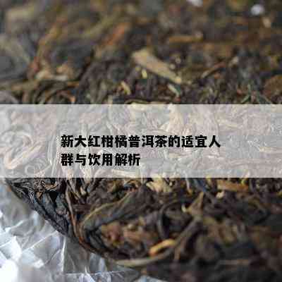 新大红柑橘普洱茶的适宜人群与饮用解析