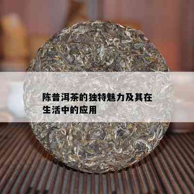 陈普洱茶的独特魅力及其在生活中的应用